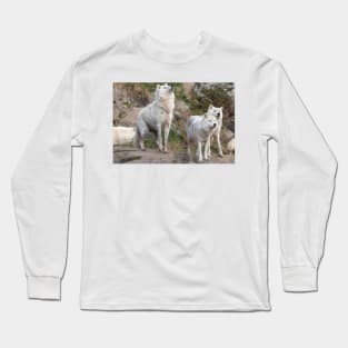 Some Arctic Wolves at play Long Sleeve T-Shirt